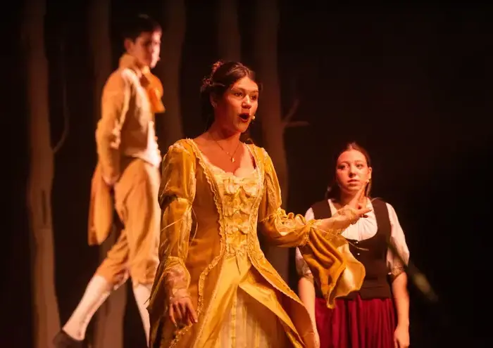 Girl in costume, performing on stage