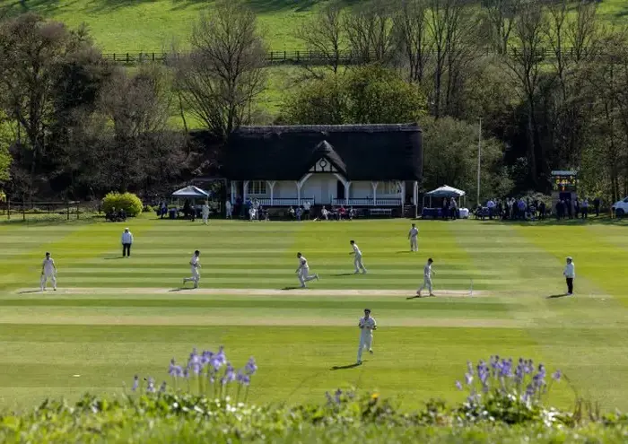 Cricket