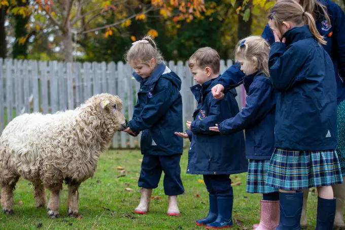 kids gardening