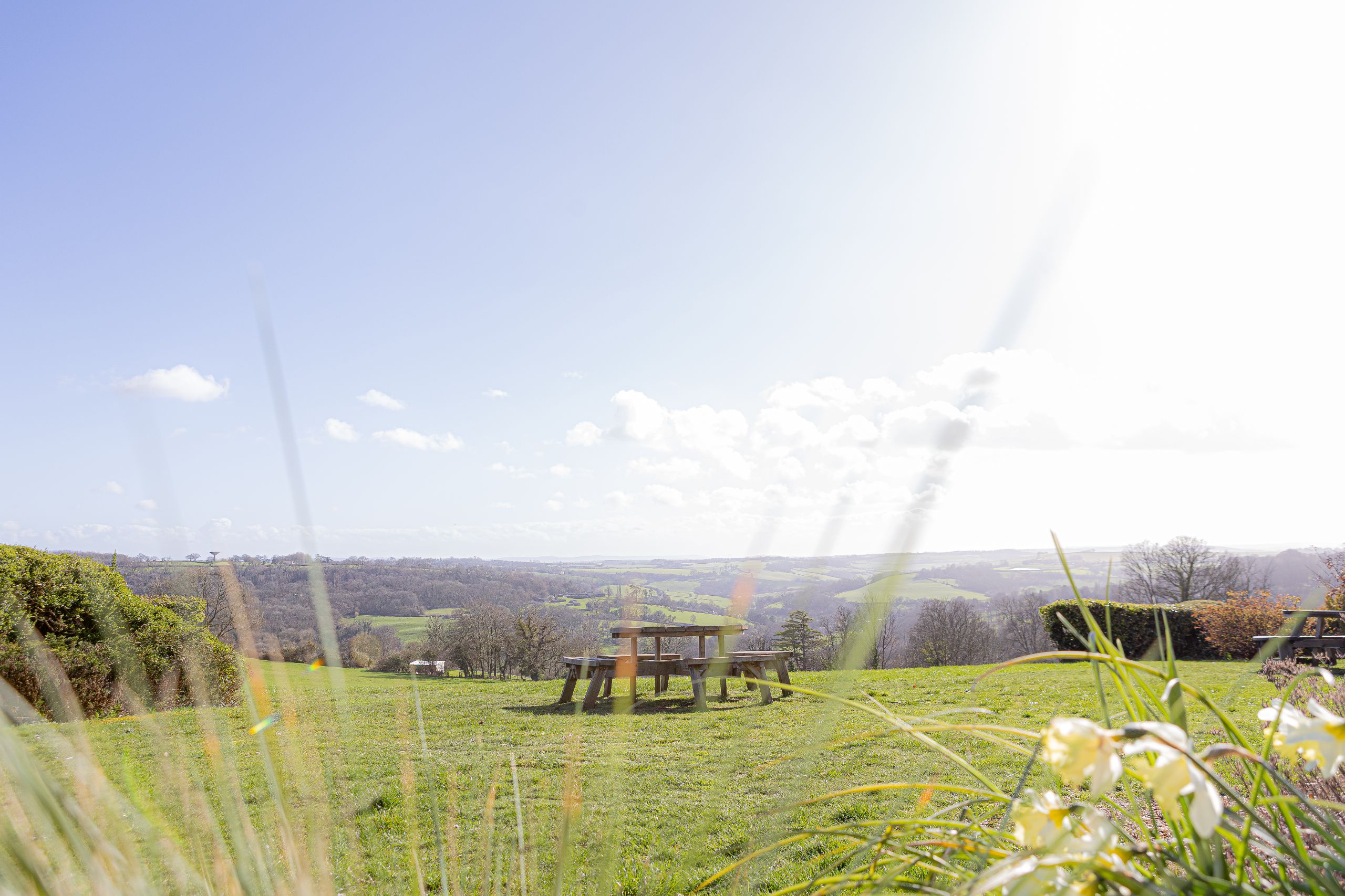 bench in a field with blue skies
