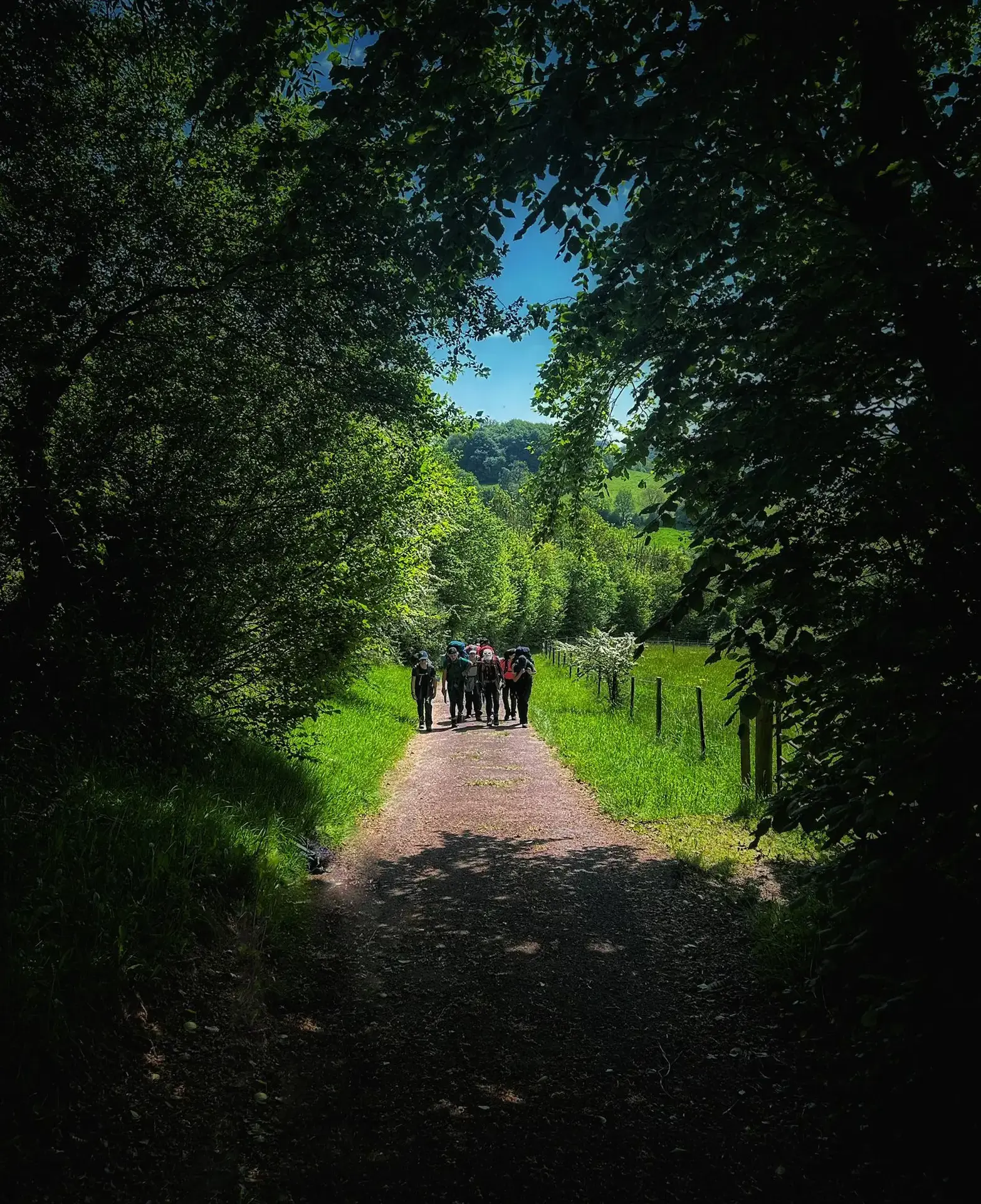 Group hike