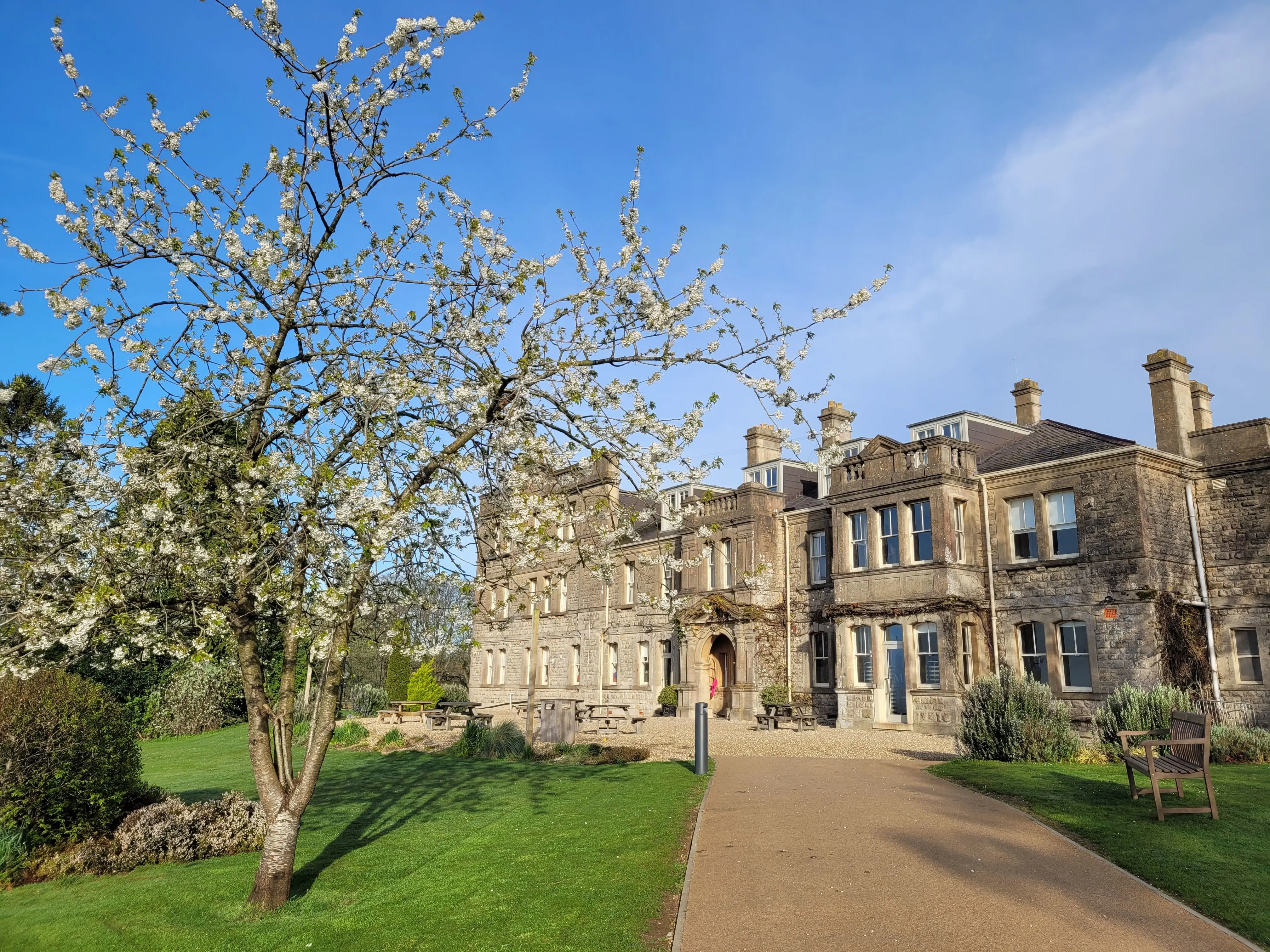 spring courtyard at monkton
